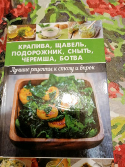 Алевтина Баранова: Крапива, щавель, подорожник, сныть, черемша, ботва