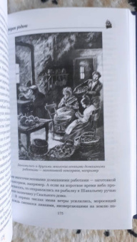 Жюль Верн: Вторая родина