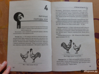 Юрий Седов: Чтобы куры неслись круглый год