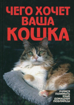 Мария Солодова: Чего хочет ваша кошка