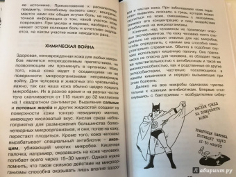 Борис Сергеев: Как устроен человек