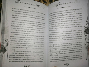 Виктория Шваб: Галлант