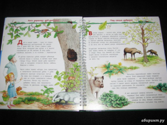 Татьяна Елумеева: Растения