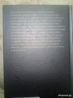 Анатолий Байбородин: Деревенский бунт