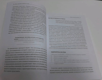 Донелла Медоуз: Азбука системного мышления