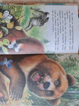 Николай Сладков: Лесные сказки