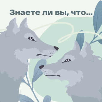 Элла Ли: Женщина нового времени. Как обрести внутреннюю силу и повысить свой уровень жизни