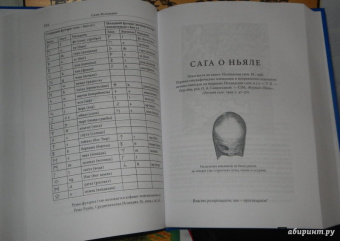 Сага об Эгиле. Сага о Ньяле