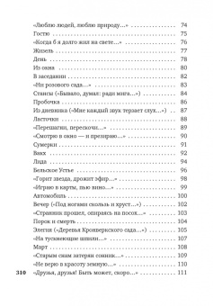 Владислав Ходасевич: Звездный ход