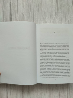 Арнон Грюнберг: Тирза