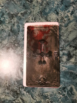 Алехандро Колуччи: Таро V, новый формат