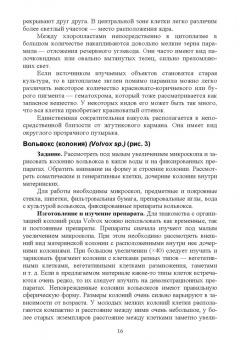 Блохин, Блохина: Практикум по зоологии. Учебное пособие для вузов