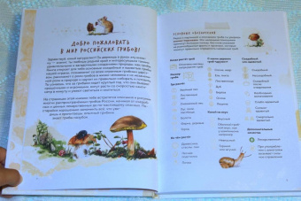 Михаил Вишневский: Грибы. Атлас-определитель