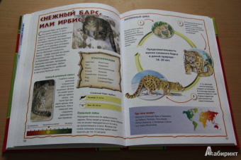 Моя первая книга о животных