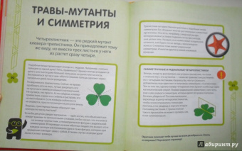 Бьянки, Буджини, Монако: Эксперименты с овощами, фруктами и другими продуктами
