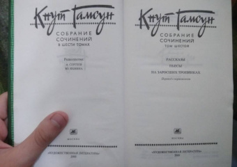 Кнут Гамсун: Собрание сочинений в 6 томах. Том 6. Рассказы. Пьесы. На заросших тропинках