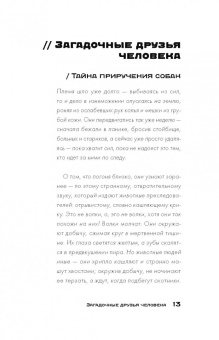 Олег Шишкин: Тайны древних цивилизаций