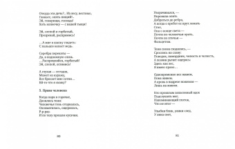 Сергей Меркульев: Порядок стоп