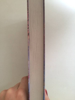 Лукьяненко, Васильев: Дневной Дозор