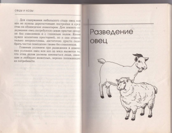 Елена Плотникова: Козы и овцы