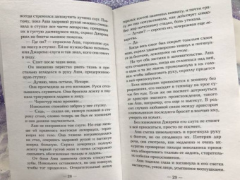 Кристен Сиккарелли: Последний Намсара. Боги света и тьмы
