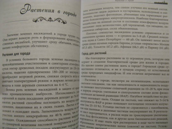 Марина Тиходеева: Санкт-Петербург глазами геоботаника
