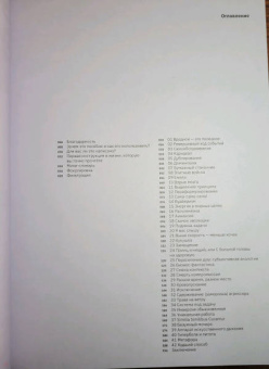 Иван Дьяченко: БРРР!-эффект. Пособие по решению нерешаемых задач в бизнесе и жизни