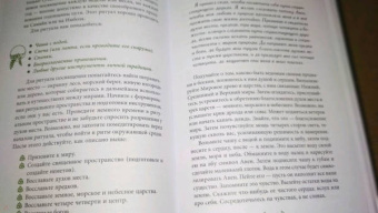 ван дер Ховен Джоанна: Книга странствующего друида. Полное руководство для одинокого искателя
