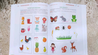 Елена Янушко: Годовой курс развивающих занятий для детей от 4 до 5 лет