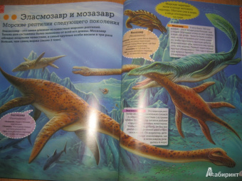 Кармен Родригес: Животные морей и океанов