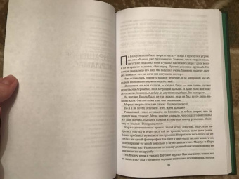 Йоси Гинсберг: Джунгли. В природе есть только один закон - выживание