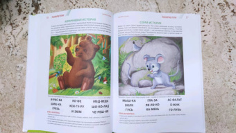 Елена Янушко: Годовой курс развивающих занятий для детей от 4 до 5 лет