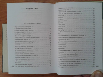 Осип Мандельштам: Сумерки свободы