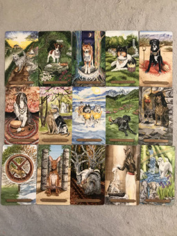 Конуэй, Найт, Мюллер: Комплект:  Таро магических собак+Таро Изменения Формы