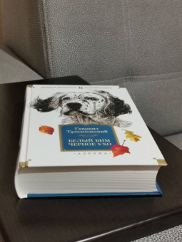 Гавриил Троепольский: Белый Бим Черное ухо