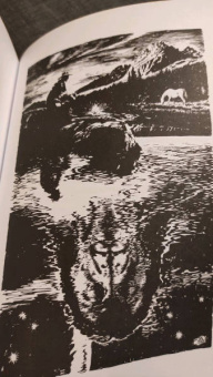 Карл Май: Виннету. Последний выстрел