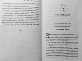 Дарья Буданцева: Медиаторы. Книга 1. Право на власть