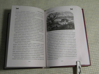 Рид Майн: Письмо и пуля