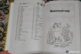 Владимир Лысаков: 1000 загадок