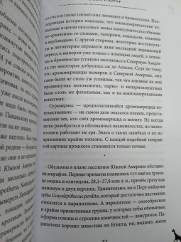 Станислав Дробышевский: Почему жирафы не стали людьми и другие вопросы эволюции