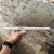 Вирджиния Вулф: Миссис Дэллоуэй Вирджиния Вулф: Миссис Дэллоуэй