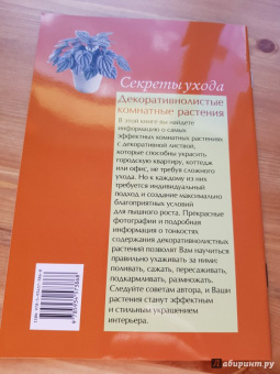 Валентин Воронцов: Секреты ухода. Декоративнолистные комнатные растений