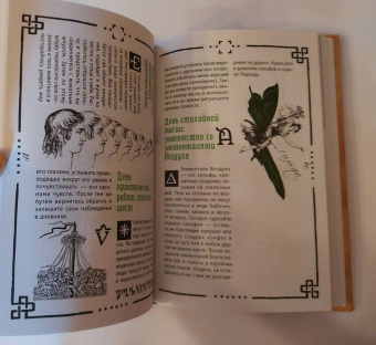 Арабо Саргсян: Викка. Книга теней