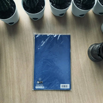 Асмус, Фестанте: Рик и Морти представляют. Мистер Мисикс