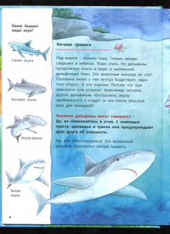 Фридерун Райхенштеттер: Дельфинчик и его морские соседи. Познавательные истории