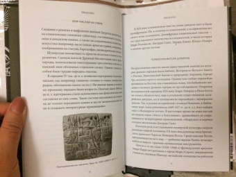 Юлия Чмеленко: Шумерские мифы. От Всемирного потопа и эпоса о Гильгамеше до бога Энки и птицы Анзуд