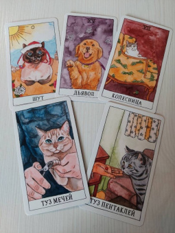 Котт Линн: Cat Tarot. Таро Котиков, 78 карт и руководство в подарочном футляре