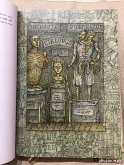 Александр Чаянов: Романтические повести