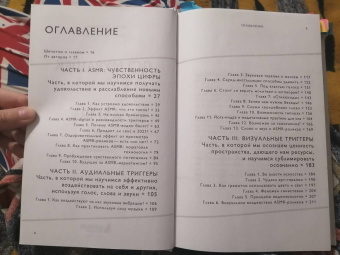 Ложкина, Шлионская: До мурашек. ASMR и другие технологии чувственного воздействия