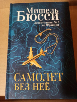 Мишель Бюсси: Самолет без неё